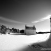 BRYANELKUS_203159