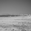 BRYANELKUS_203187