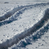 BRYANELKUS_203210