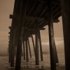 BRYANELKUS_114330