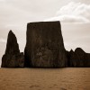 BRYANELKUS_115203