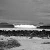 BRYANELKUS_119716