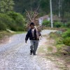 BRYANELKUS_120509