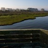 BRYANELKUS_132454