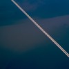 BRYANELKUS_166406166457
