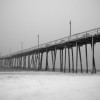 BRYANELKUS_203084