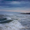 BRYANELKUS_77716