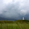 BRYANELKUS_79809