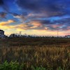 BRYANELKUS_88696