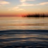 BRYANELKUS_90190 | a ripple disturbs the waters of the pamlico sound at sunset
