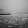 BRYANELKUS_95041