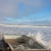 BRYANELKUS_95432