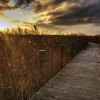 amazing OBX sunset with reeds and a dock out to the pamlico sound in cape hatteras, NC
