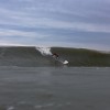 BRYANELKUS_98113 BRYANELKUS_98113