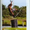 Kiteworld35p23