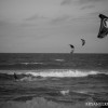 BRYANELKUS_211874 BRYANELKUS_211874