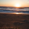 BRYANELKUS_218691 BRYANELKUS_218691