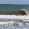 BRYANELKUS_218716 BRYANELKUS_218716