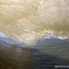 BRYANELKUS_219342 BRYANELKUS_219342