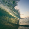 BRYANELKUS_226196