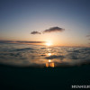 BRYANELKUS_226464