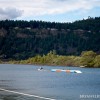 BRYANELKUS_251486