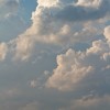 BRYANELKUS_260891