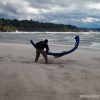 a kite about to be launched on a windy beach on the shore of lake mi
