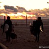two kiteboarders walk back from a glowing sunset of the shore of lake michigan.