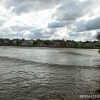 BRYANELKUS_267874