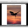 Dakine_2011_5 Dakine_2011_5