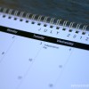 BRYANELKUS_269041
