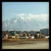 IMG_1505 IMG_1505