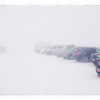 IMG_1618 IMG_1618