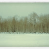 IMG_1619 IMG_1619