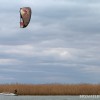 BRYANELKUS_278697