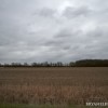 BRYANELKUS_278884