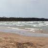 BRYANELKUS_278979b