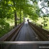 BRYANELKUS_279082