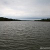 BRYANELKUS_279168