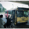 IMG_2502 copy