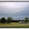 IMG_2515 copy