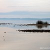 BRYANELKUS_283318