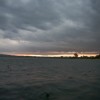 BRYANELKUS_283611