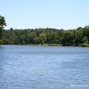 BRYANELKUS_301844