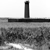 BRYANELKUS_303572