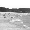 BRYANELKUS_303574