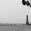 BRYANELKUS_303578