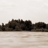BRYANELKUS_304559