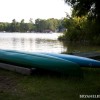 BRYANELKUS_304670